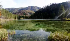 Neschopenka 2019